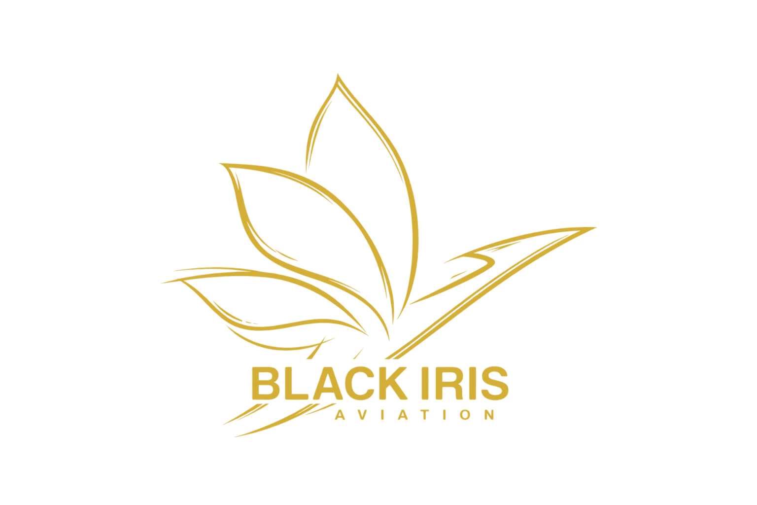 Black Iris Logo